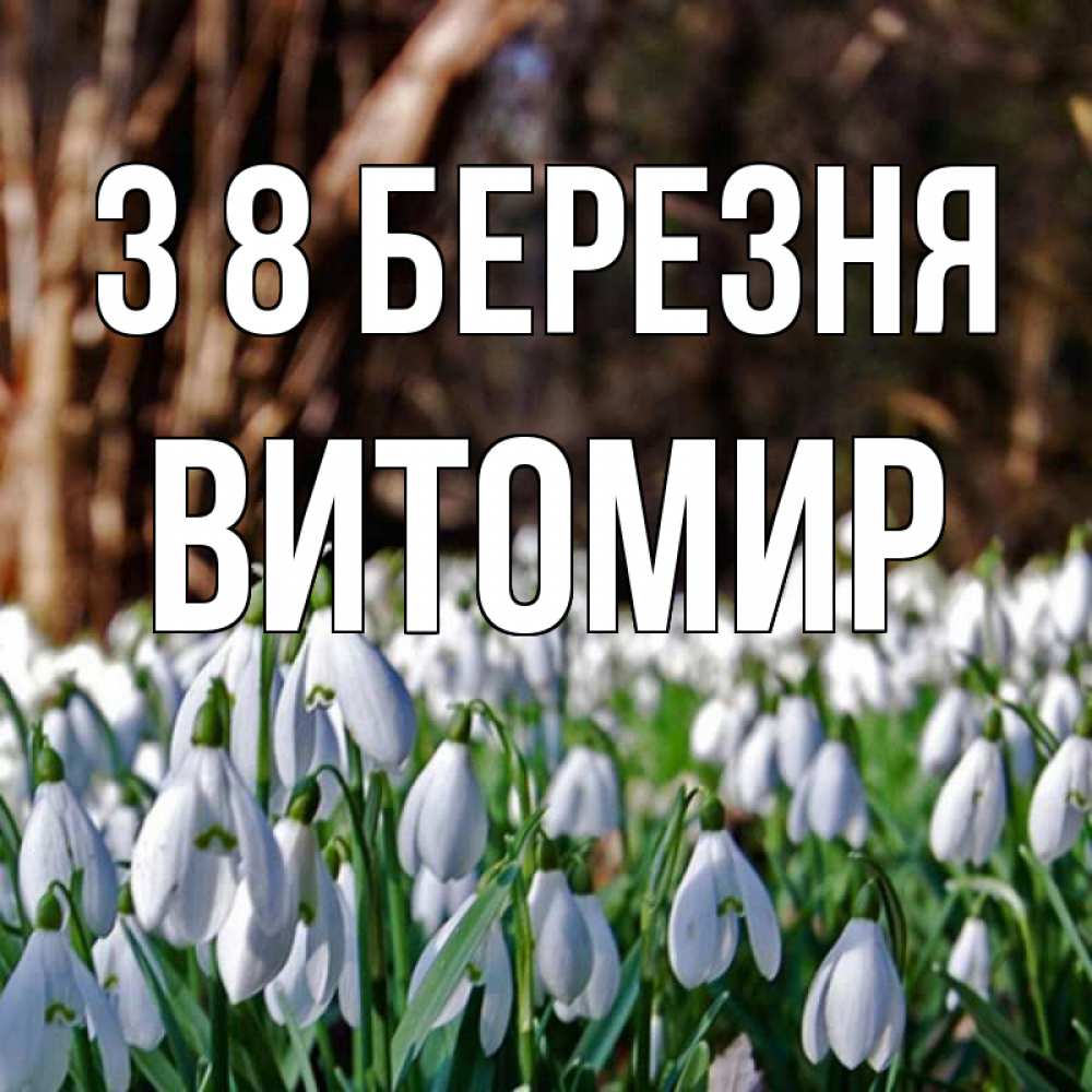 Открытка на каждый день з підписом, Витомир З 8 БЕРЕЗНЯ с подснежниками 1 Прикольна листівка з побажанням онлайн скачати безкоштовно 