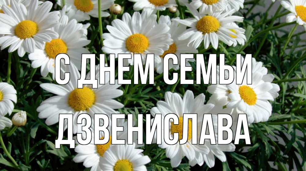 Открытка на каждый день з підписом, Дзвенислава С днем семьи с днем семьи Прикольна листівка з побажанням онлайн скачати безкоштовно 