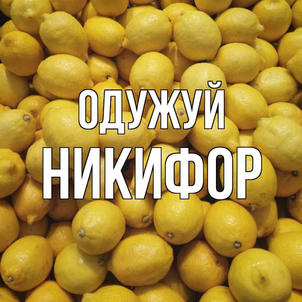 Открытка на каждый день з підписом, Никифор Одужуй это точно поможет Прикольна листівка з побажанням онлайн скачати безкоштовно 
