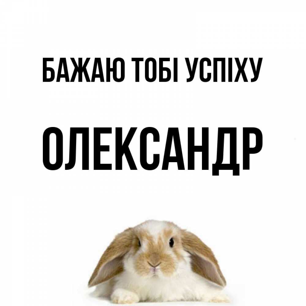 Открытка на каждый день з підписом, Олександр Бажаю тобі успіху открытки с произвольным текстом который можно вставить в открытку и создать ее самостоятельно бесплатно онлайн Прикольна листівка з побажанням онлайн скачати безкоштовно 