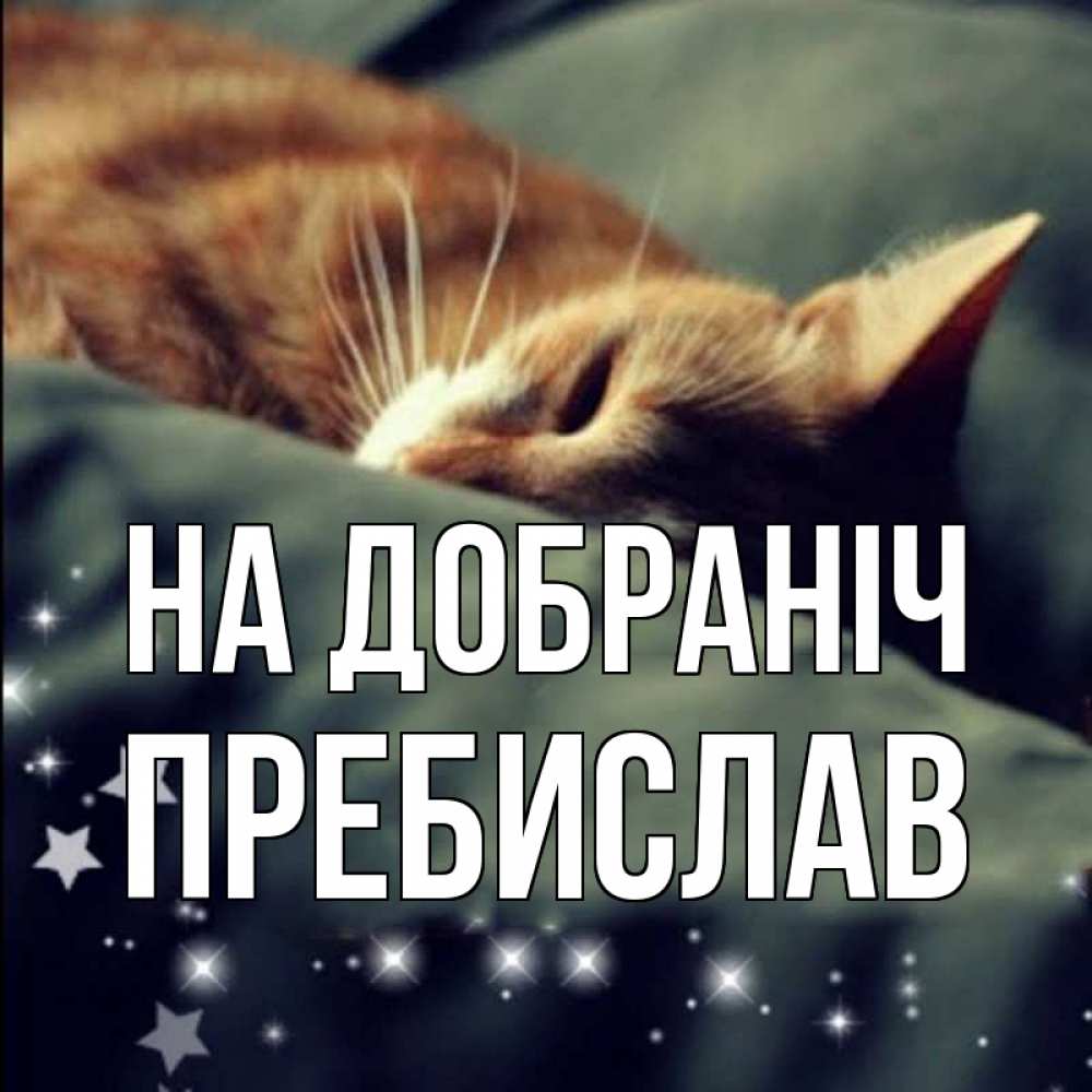 Открытка на каждый день з підписом, Пребислав На добраніч кроватка Прикольна листівка з побажанням онлайн скачати безкоштовно 