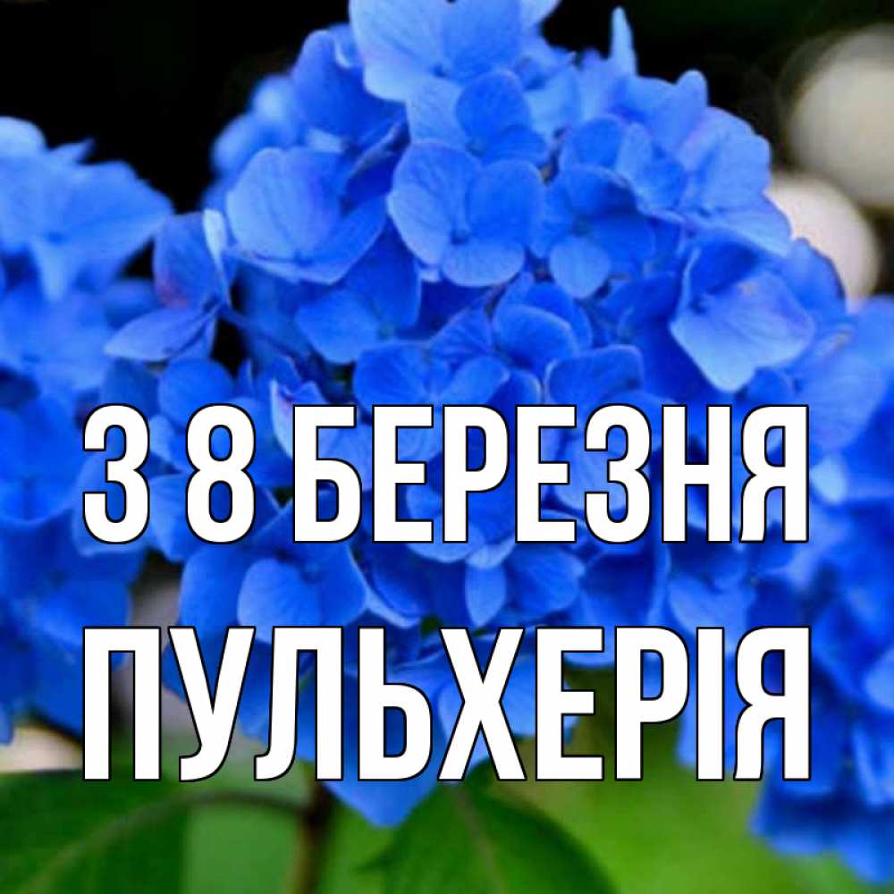 Открытка на каждый день з підписом, Пульхерія З 8 БЕРЕЗНЯ синие цветы Прикольна листівка з побажанням онлайн скачати безкоштовно 