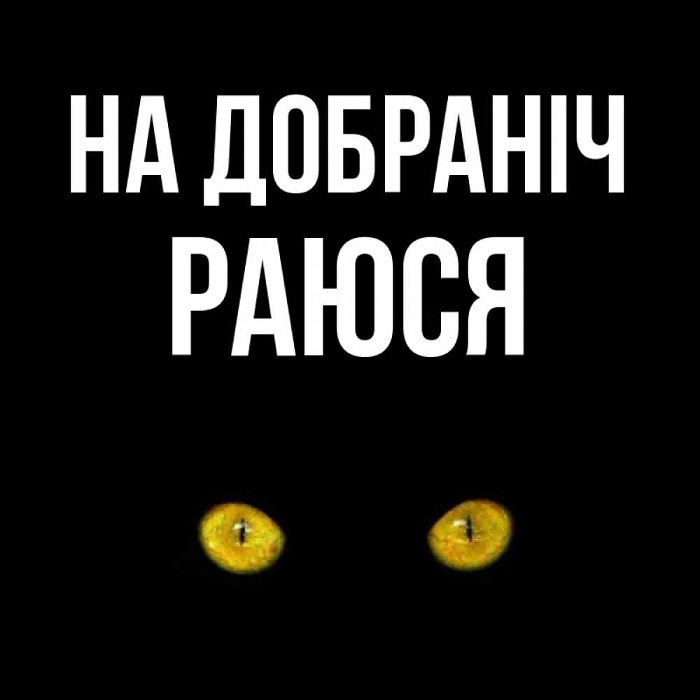 Открытка на каждый день з підписом, Раюся На добраніч сладких снов бесстрашный мой дружочек Прикольна листівка з побажанням онлайн скачати безкоштовно 