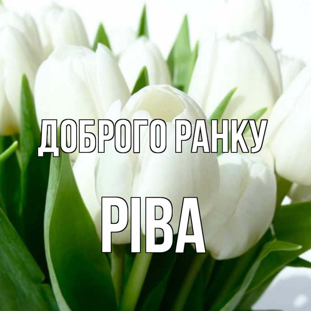 Открытка на каждый день з підписом, Ріва Доброго ранку открытки на каждый день по именам Прикольна листівка з побажанням онлайн скачати безкоштовно 