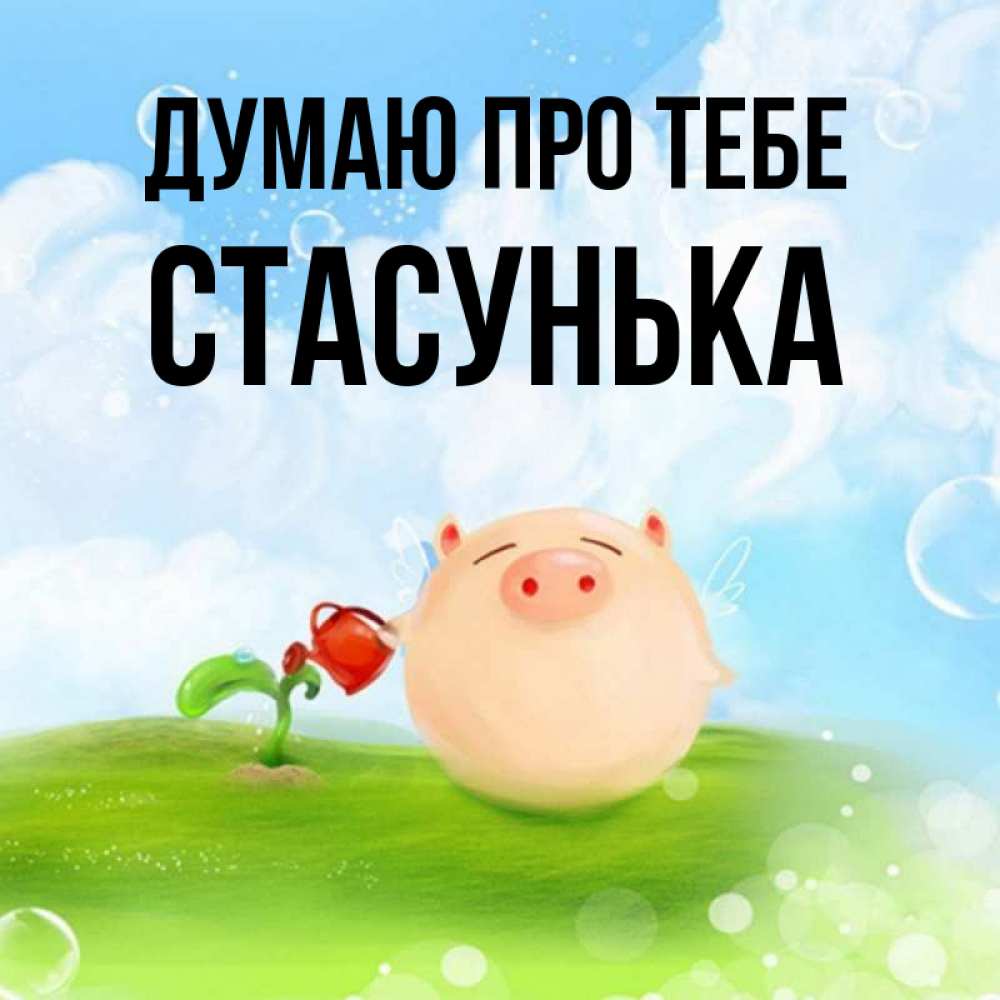 Открытка на каждый день з підписом, Стасунька Думаю про тебе позитивная свинюшка Прикольна листівка з побажанням онлайн скачати безкоштовно 