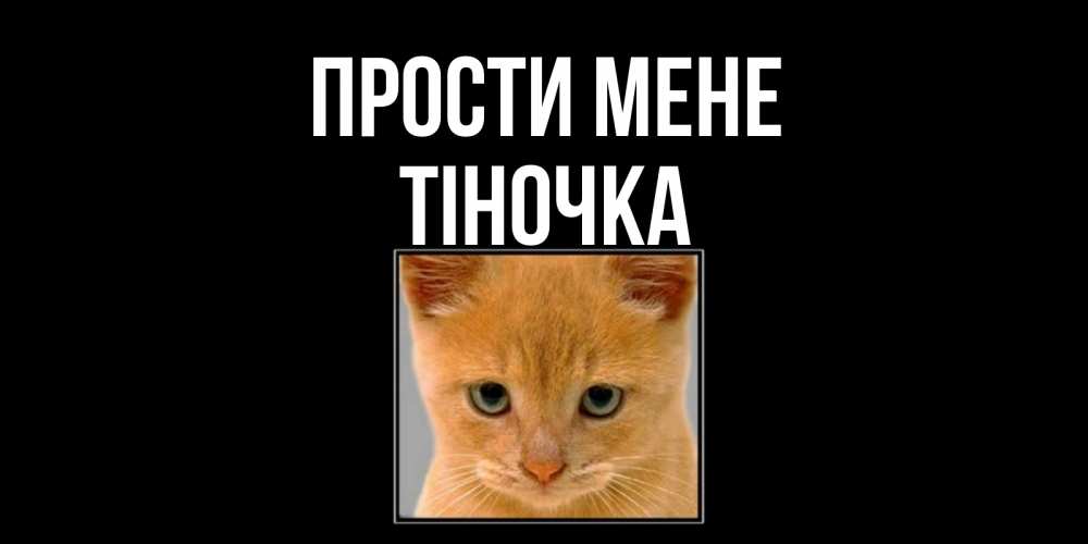 Открытка на каждый день з підписом, Тіночка Прости мене рыжий грустный кот просит прощения Прикольна листівка з побажанням онлайн скачати безкоштовно 