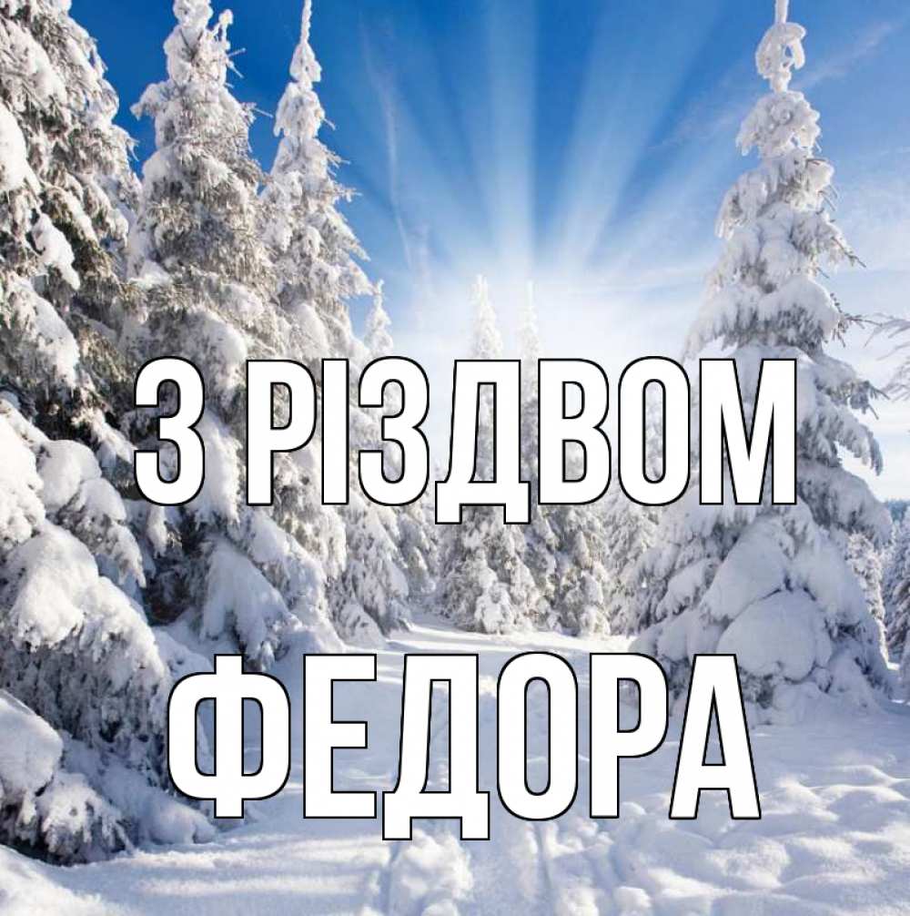 Открытка на каждый день з підписом, Федора З Різдвом зима, лес Прикольна листівка з побажанням онлайн скачати безкоштовно 