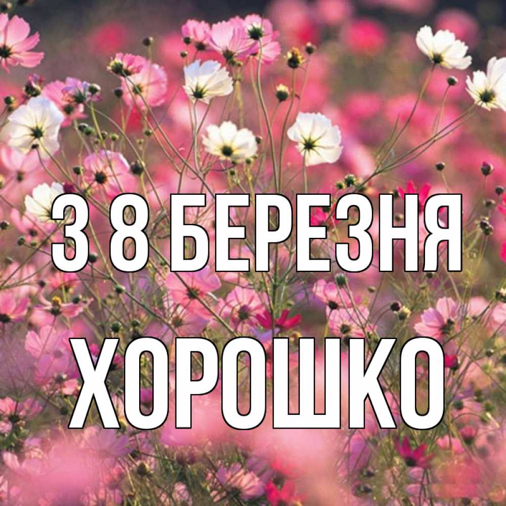 Открытка на каждый день з підписом, Хорошко З 8 БЕРЕЗНЯ красиво 1 Прикольна листівка з побажанням онлайн скачати безкоштовно 