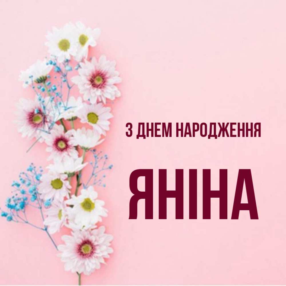 Открытка на каждый день з підписом, Яніна З Днем народження Родная моя с днем рождения тебя картинка с цветами белыми и голубыми Прикольна листівка з побажанням онлайн скачати безкоштовно 