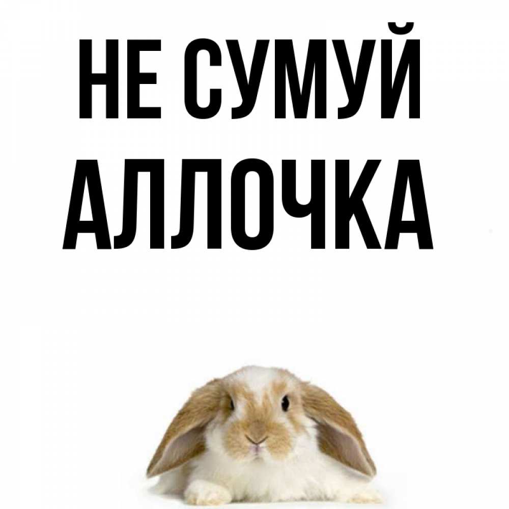 Открытка на каждый день з підписом, Аллочка Не сумуй коричнево белый заяц с большими ушками Прикольна листівка з побажанням онлайн скачати безкоштовно 