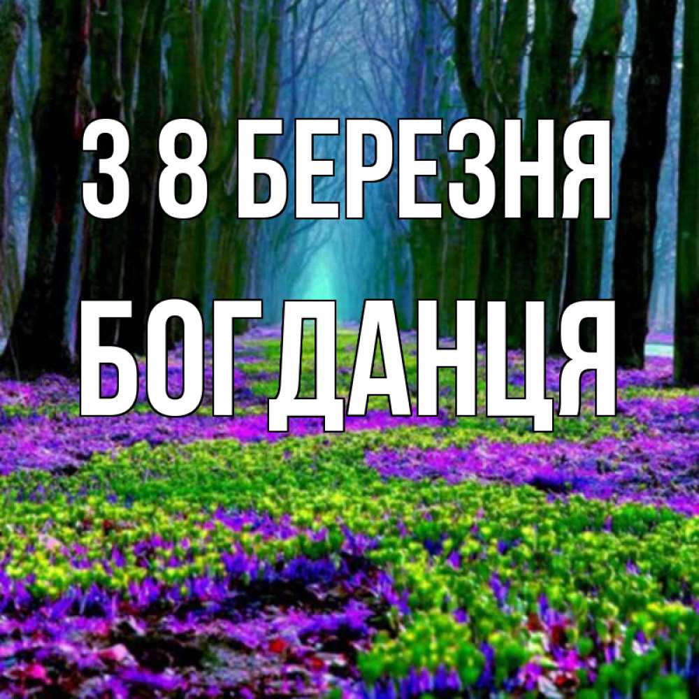 Открытка на каждый день з підписом, Богданця З 8 БЕРЕЗНЯ фиолетовые цветы в лесу 1 Прикольна листівка з побажанням онлайн скачати безкоштовно 