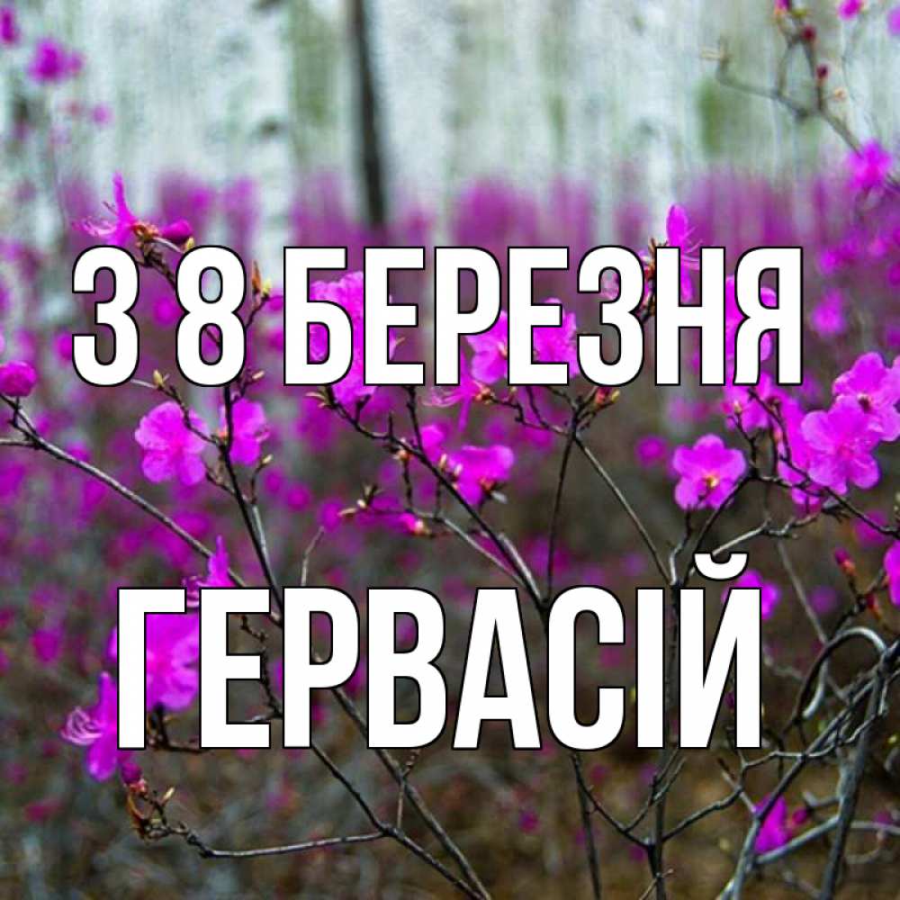 Открытка на каждый день з підписом, Гервасій З 8 БЕРЕЗНЯ дикие цветы Прикольна листівка з побажанням онлайн скачати безкоштовно 