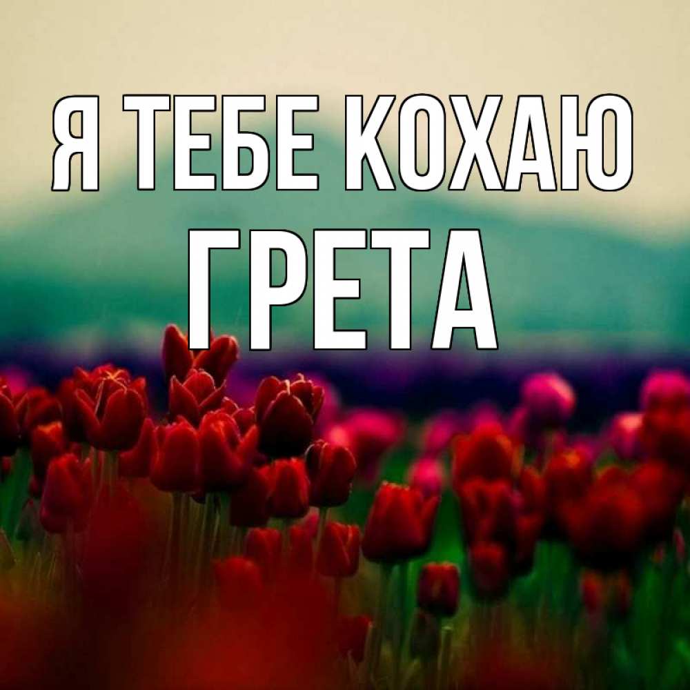 Открытка на каждый день з підписом, Грета Я тебе кохаю тюльпаны 4 Прикольна листівка з побажанням онлайн скачати безкоштовно 