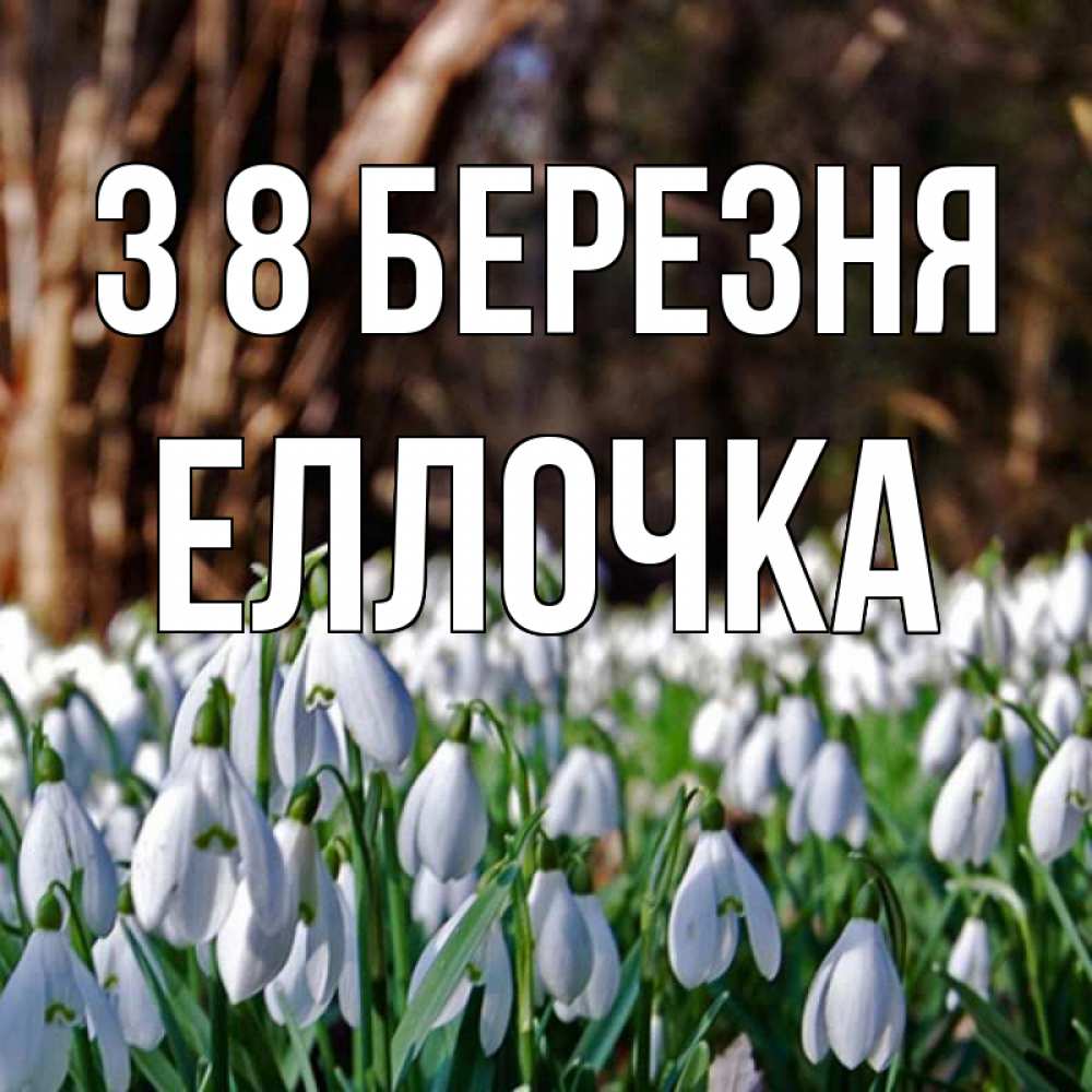 Открытка на каждый день з підписом, Еллочка З 8 БЕРЕЗНЯ с подснежниками 1 Прикольна листівка з побажанням онлайн скачати безкоштовно 