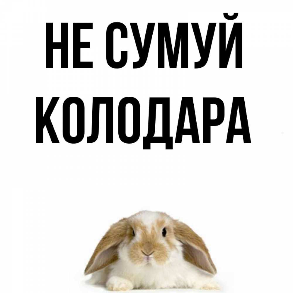 Открытка на каждый день з підписом, Колодара Не сумуй коричнево белый заяц с большими ушками Прикольна листівка з побажанням онлайн скачати безкоштовно 