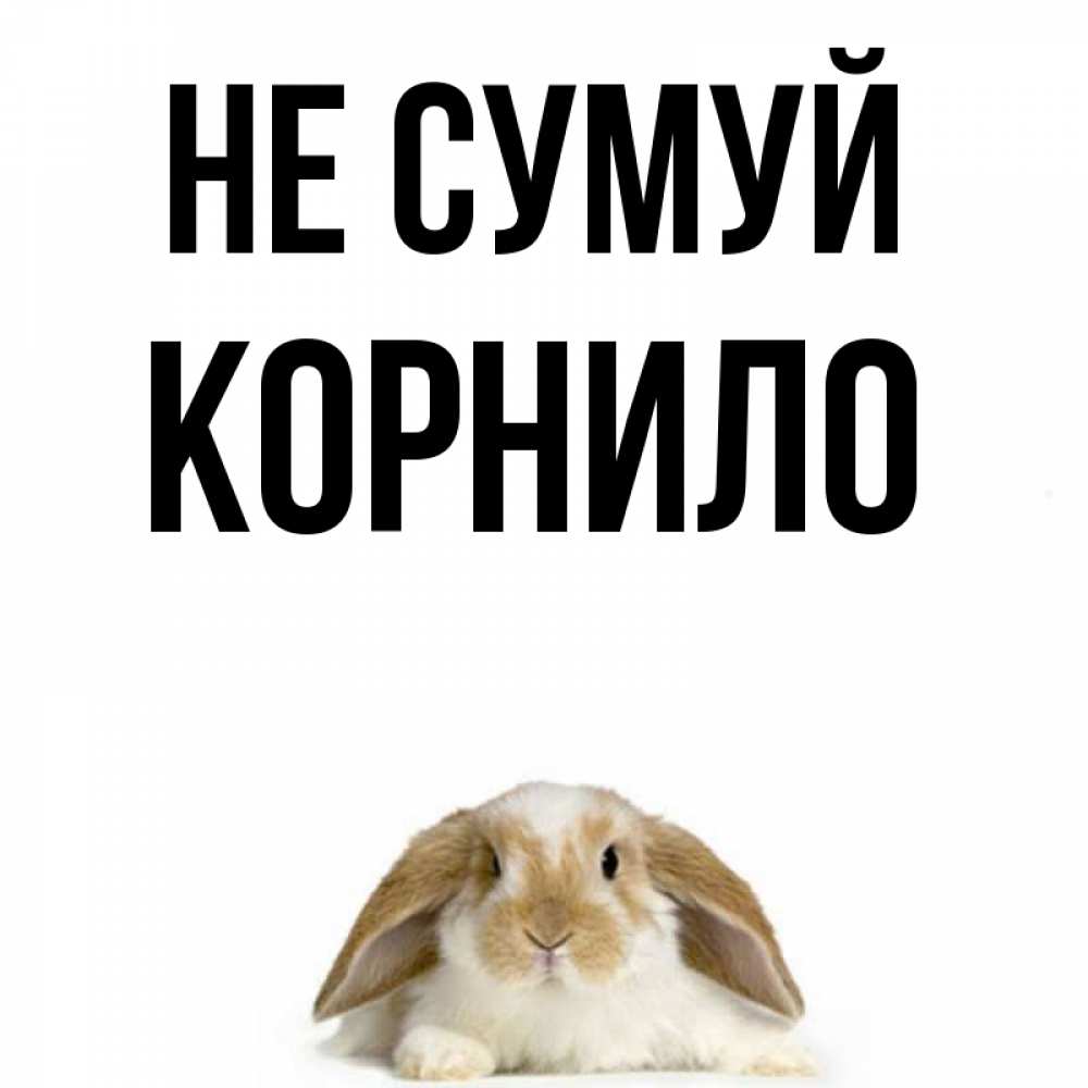 Открытка на каждый день з підписом, Корнило Не сумуй коричнево белый заяц с большими ушками Прикольна листівка з побажанням онлайн скачати безкоштовно 