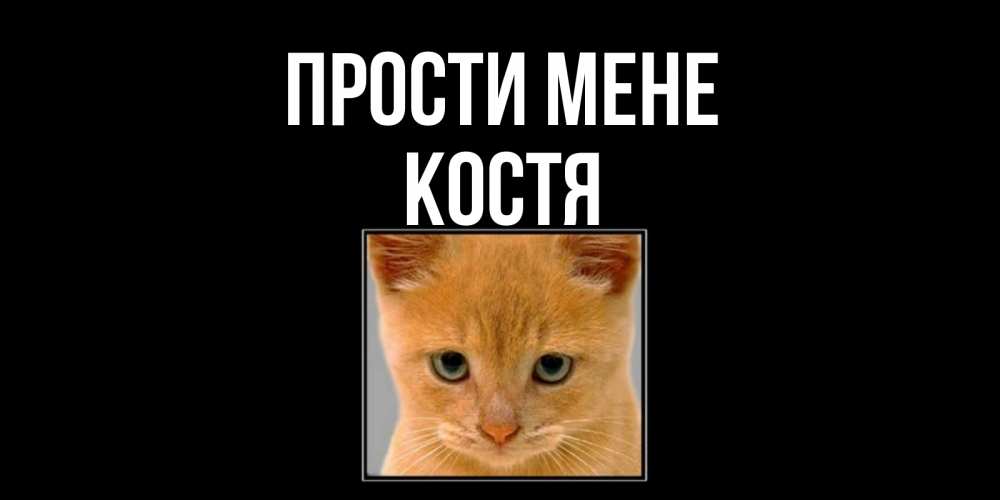 Открытка на каждый день з підписом, Костя Прости мене рыжий грустный кот просит прощения Прикольна листівка з побажанням онлайн скачати безкоштовно 