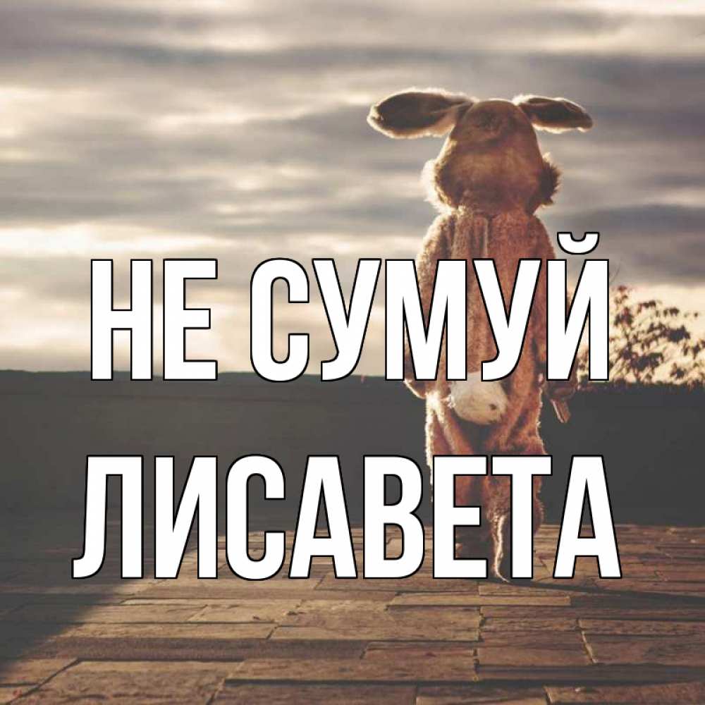 Открытка на каждый день з підписом, Лисавета Не сумуй со спины Прикольна листівка з побажанням онлайн скачати безкоштовно 