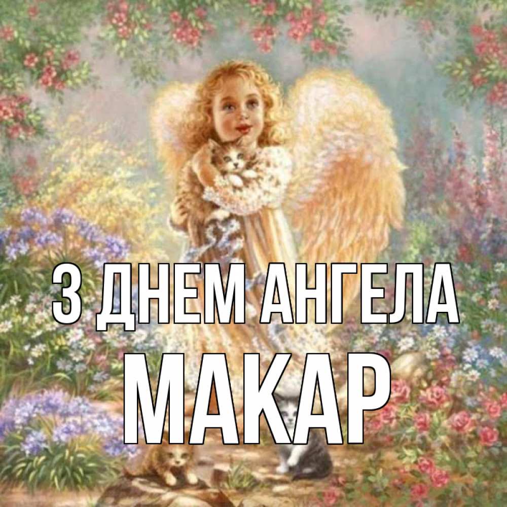Открытка на каждый день з підписом, Макар З Днем ангела держит котенка Прикольна листівка з побажанням онлайн скачати безкоштовно 