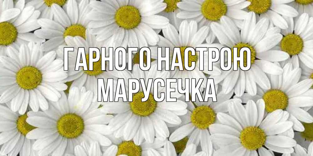 Открытка на каждый день з підписом, Марусечка Гарного настрою поляна ромашек Прикольна листівка з побажанням онлайн скачати безкоштовно 