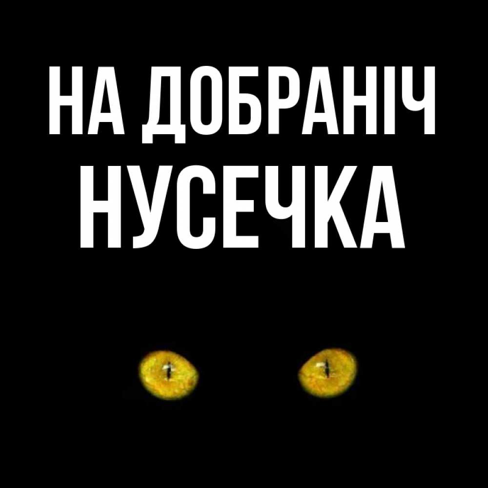 Открытка на каждый день з підписом, Нусечка На добраніч сладких снов бесстрашный мой дружочек Прикольна листівка з побажанням онлайн скачати безкоштовно 