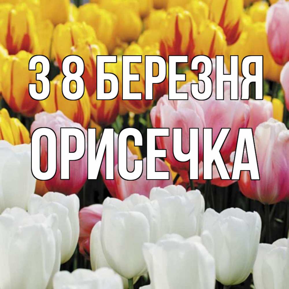 Открытка на каждый день з підписом, Орисечка З 8 БЕРЕЗНЯ разноцветные цветы Прикольна листівка з побажанням онлайн скачати безкоштовно 