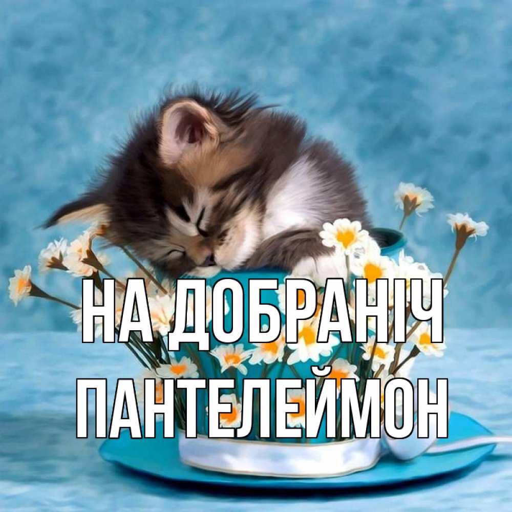Открытка на каждый день з підписом, Пантелеймон На добраніч котенок спит в кружке с блюдцем Прикольна листівка з побажанням онлайн скачати безкоштовно 