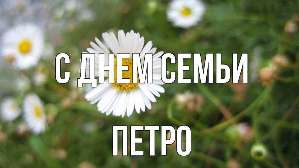 Открытка на каждый день з підписом, Петро С днем семьи с днем семьи Прикольна листівка з побажанням онлайн скачати безкоштовно 