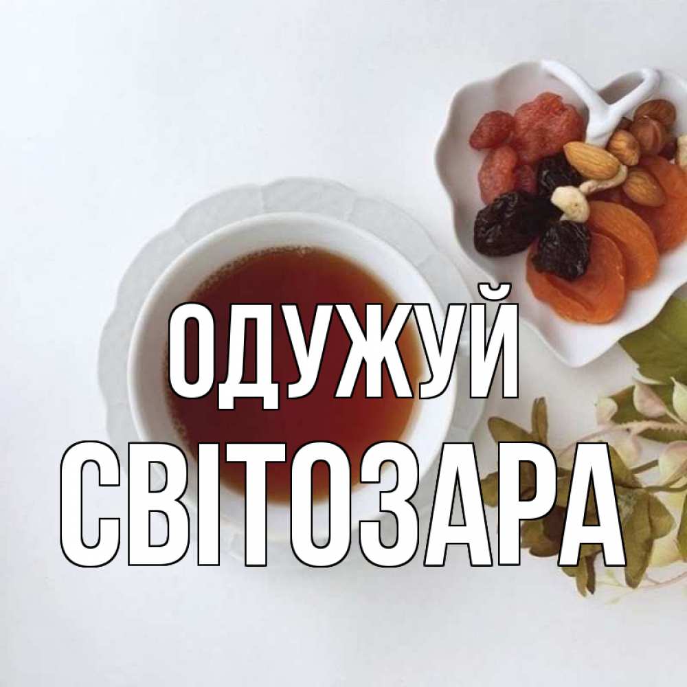 Открытка на каждый день з підписом, Світозара Одужуй неизвестные растения Прикольна листівка з побажанням онлайн скачати безкоштовно 