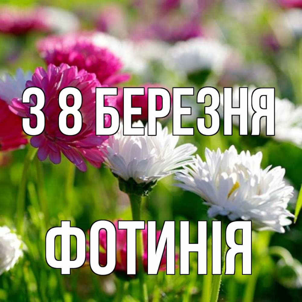 Открытка на каждый день з підписом, Фотинія З 8 БЕРЕЗНЯ международный женский день 1 Прикольна листівка з побажанням онлайн скачати безкоштовно 