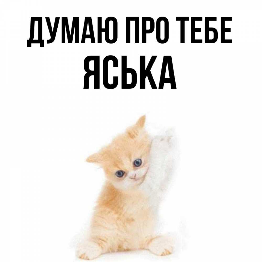 Открытка на каждый день з підписом, Яська Думаю про тебе зверушки и милота Прикольна листівка з побажанням онлайн скачати безкоштовно 