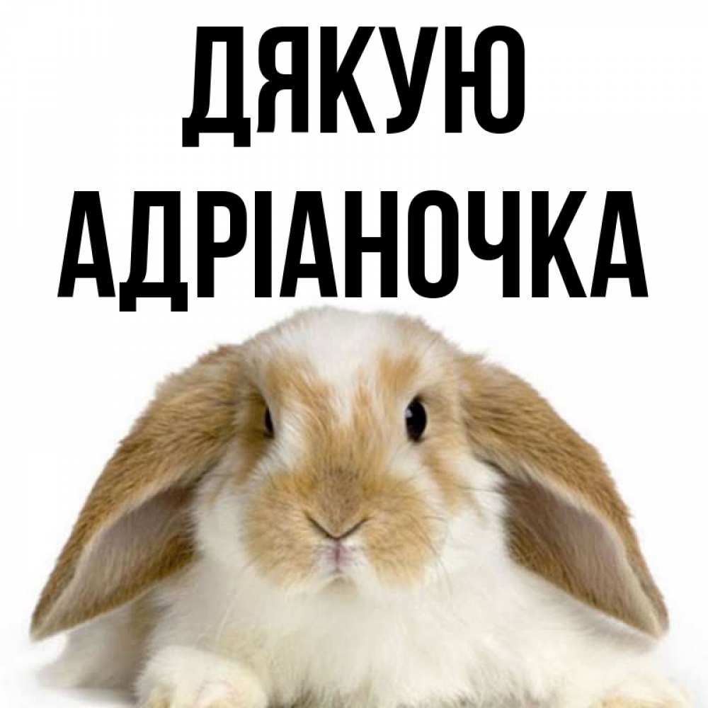 Открытка на каждый день з підписом, Адріаночка Дякую коричнево белый заяц Прикольна листівка з побажанням онлайн скачати безкоштовно 