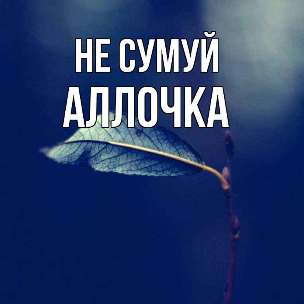 Открытка на каждый день з підписом, Аллочка Не сумуй растение Прикольна листівка з побажанням онлайн скачати безкоштовно 