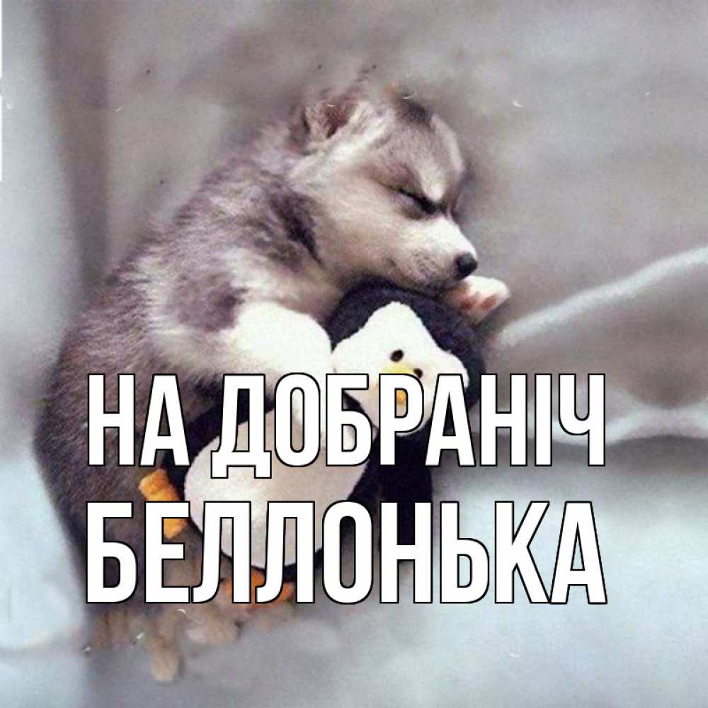 Открытка на каждый день з підписом, Беллонька На добраніч обнимашки щенка и пингвина Прикольна листівка з побажанням онлайн скачати безкоштовно 