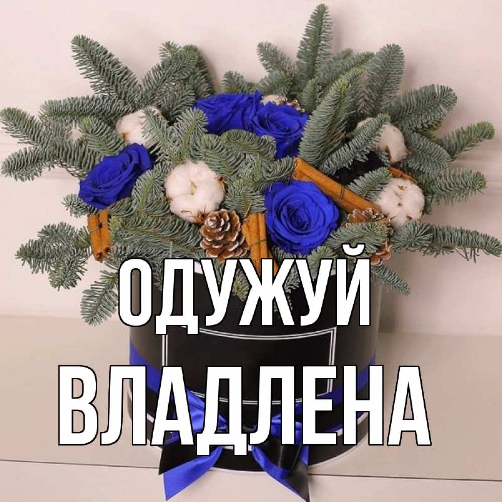 Открытка на каждый день з підписом, Владлена Одужуй короче кто то загрузил эти шишки Прикольна листівка з побажанням онлайн скачати безкоштовно 