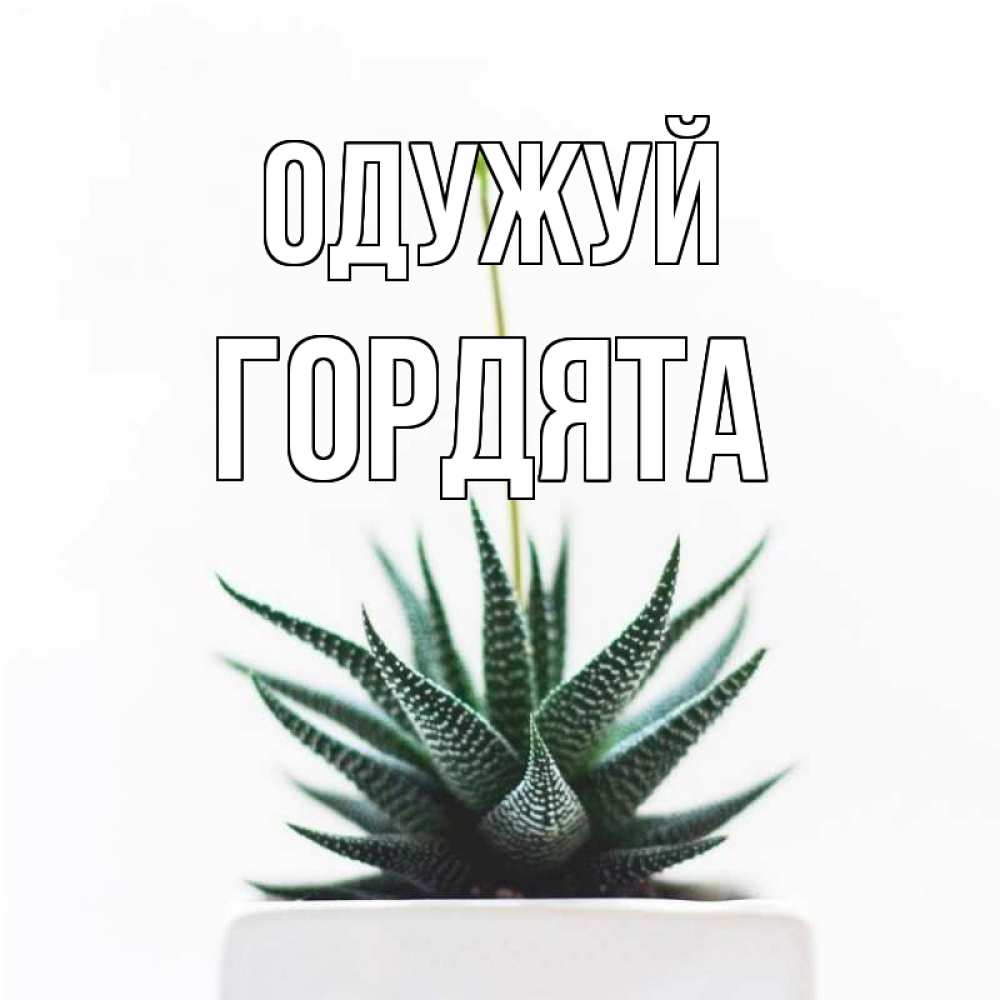Открытка на каждый день з підписом, Гордята Одужуй короче это непонятная колючка Прикольна листівка з побажанням онлайн скачати безкоштовно 