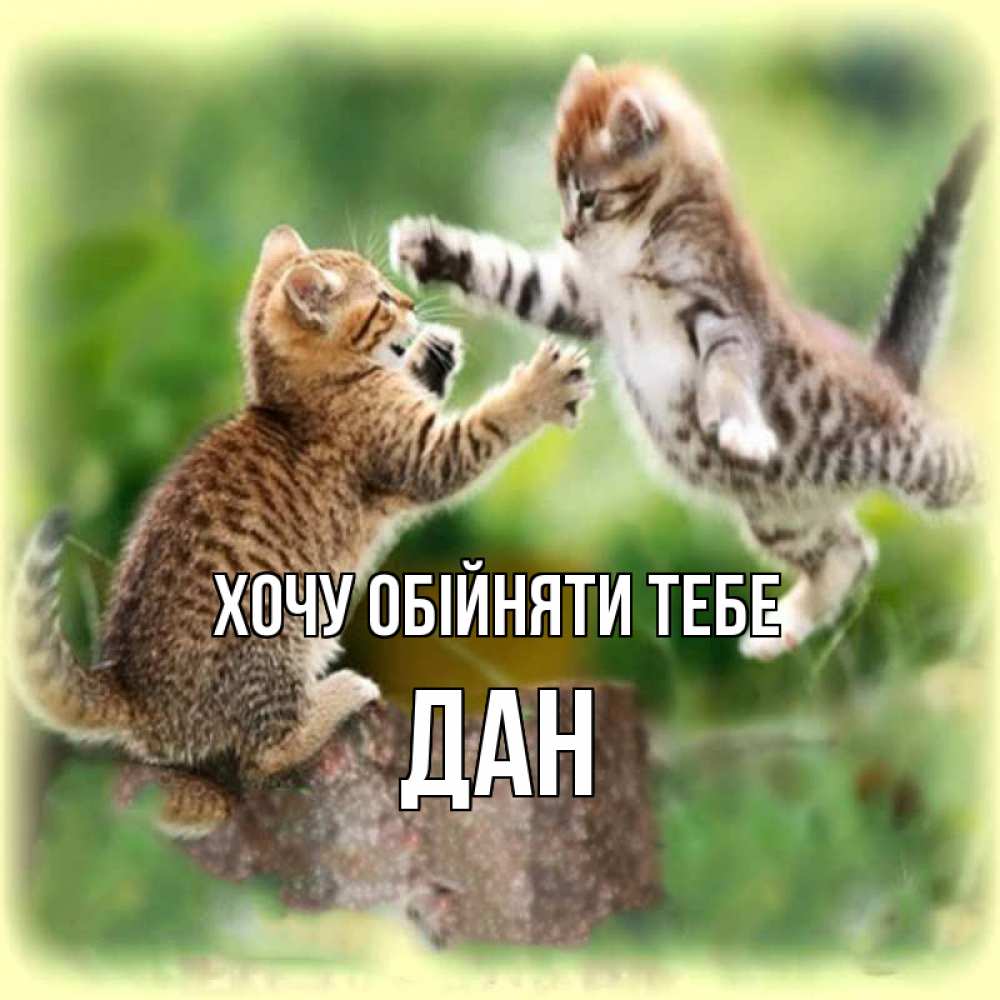 Открытка на каждый день з підписом, Дан Хочу обійняти тебе игры котят Прикольна листівка з побажанням онлайн скачати безкоштовно 