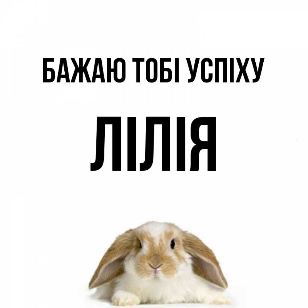 Открытка на каждый день з підписом, Лілія Бажаю тобі успіху открытки с произвольным текстом который можно вставить в открытку и создать ее самостоятельно бесплатно онлайн Прикольна листівка з побажанням онлайн скачати безкоштовно 