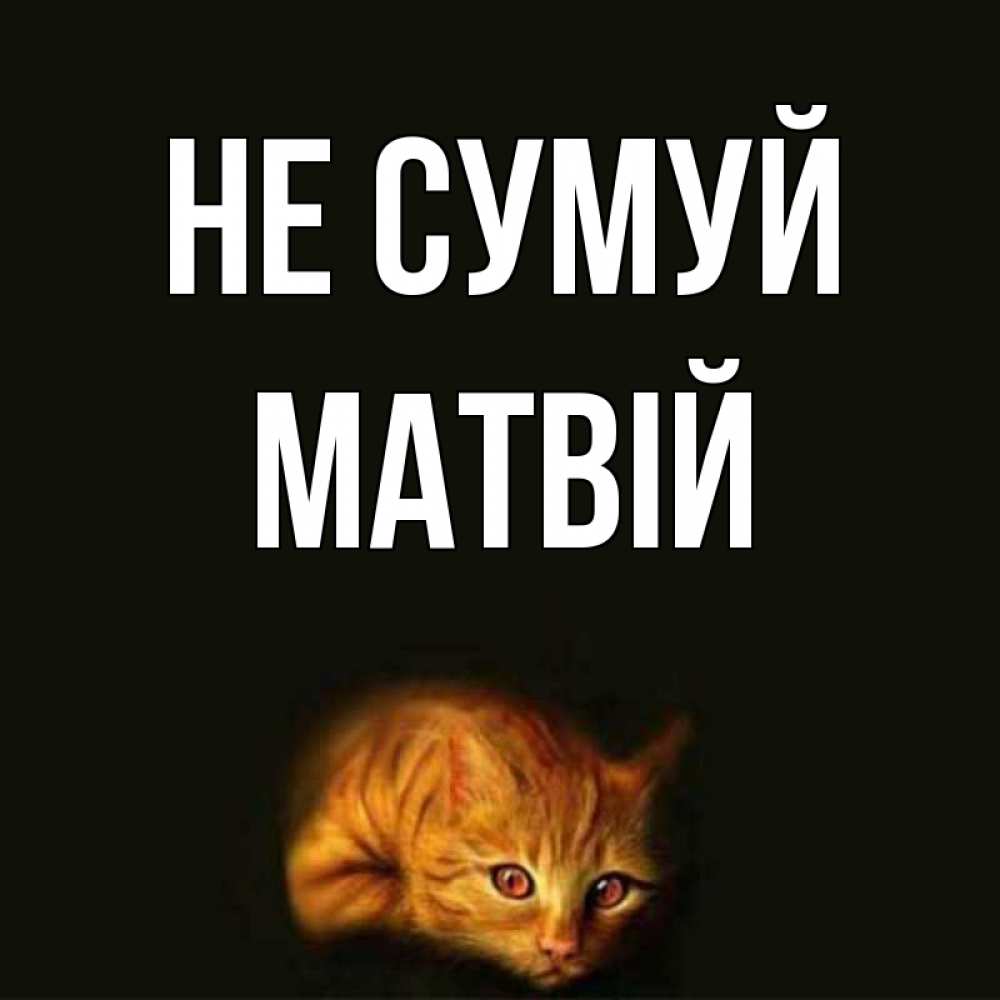 Открытка на каждый день з підписом, Матвій Не сумуй лежащий кот в темноте Прикольна листівка з побажанням онлайн скачати безкоштовно 