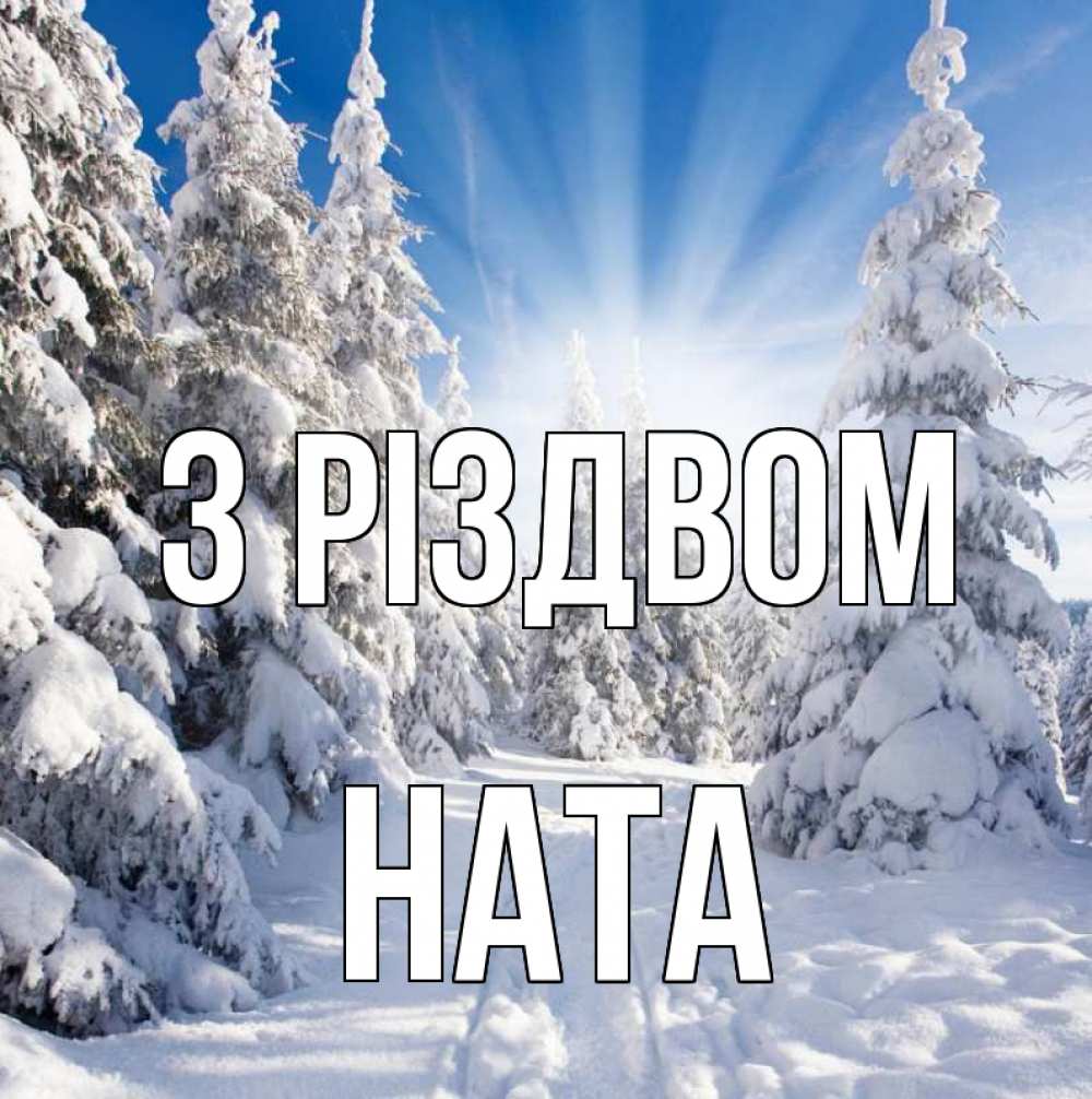 Открытка на каждый день з підписом, Ната З Різдвом зима, лес Прикольна листівка з побажанням онлайн скачати безкоштовно 