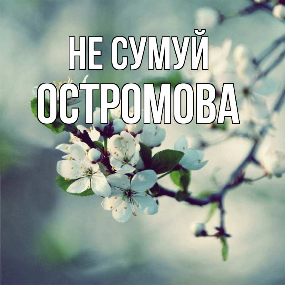 Открытка на каждый день з підписом, Остромова Не сумуй яблоня в цвету 1 Прикольна листівка з побажанням онлайн скачати безкоштовно 