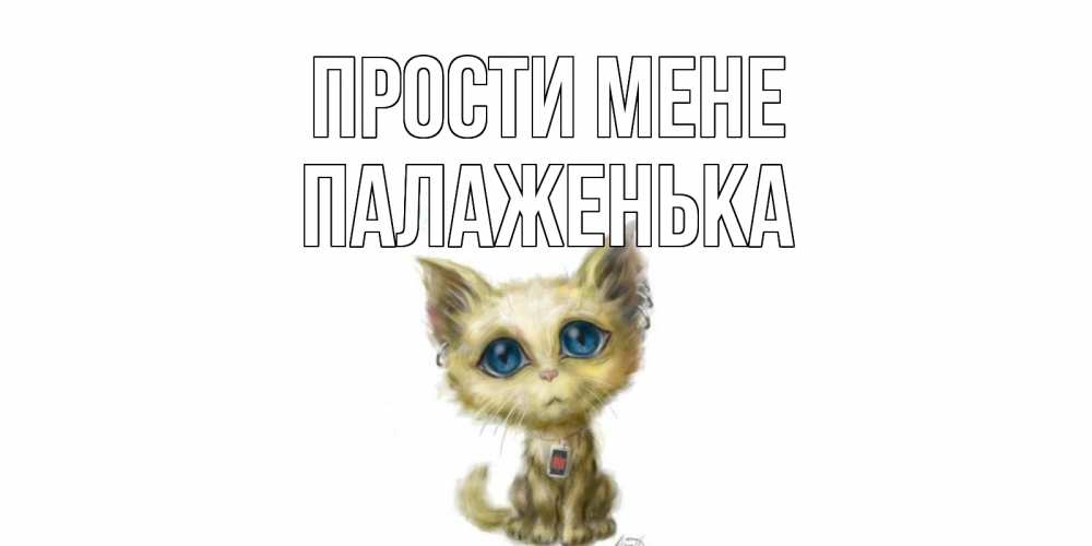 Открытка на каждый день з підписом, Палаженька Прости мене прости меня открытка с котиком Прикольна листівка з побажанням онлайн скачати безкоштовно 