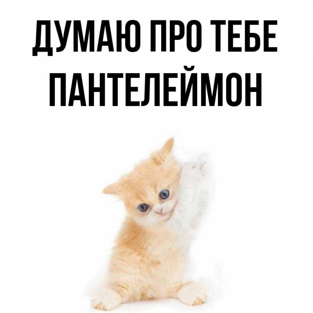 Листівка Думаю про тебе, Пантелеймон