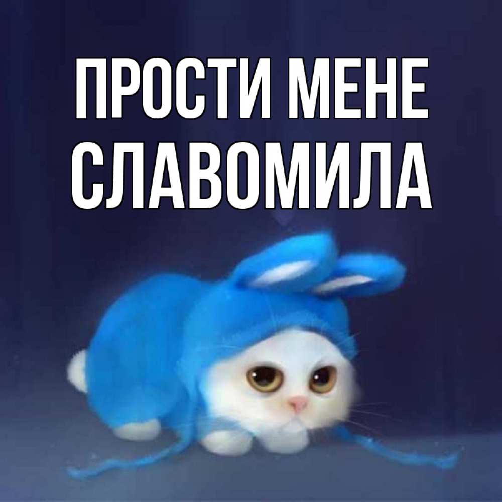 Открытка на каждый день з підписом, Славомила Прости мене невинный котозай просит прощения Прикольна листівка з побажанням онлайн скачати безкоштовно 