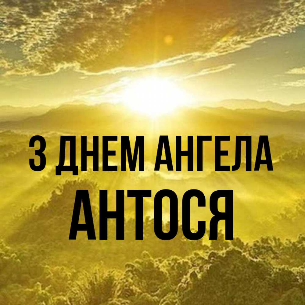 Открытка на каждый день з підписом, Антося З Днем ангела леса и небо в желтом Прикольна листівка з побажанням онлайн скачати безкоштовно 