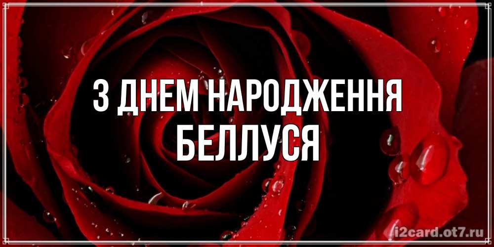 Открытка на каждый день з підписом, Беллуся З Днем народження крупная бордовая роза Прикольна листівка з побажанням онлайн скачати безкоштовно 