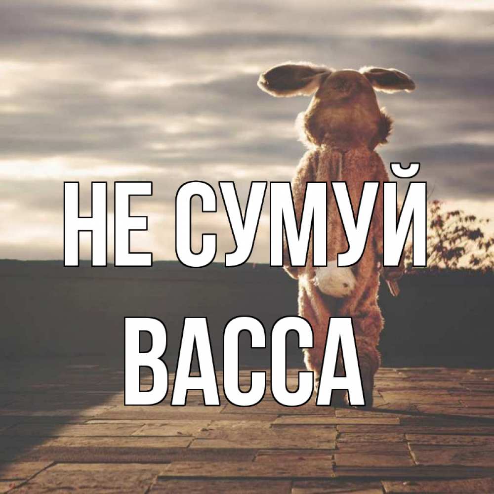 Открытка на каждый день з підписом, Васса Не сумуй со спины Прикольна листівка з побажанням онлайн скачати безкоштовно 