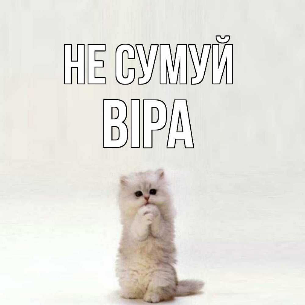 Открытка на каждый день з підписом, Віра Не сумуй грустный кот Прикольна листівка з побажанням онлайн скачати безкоштовно 