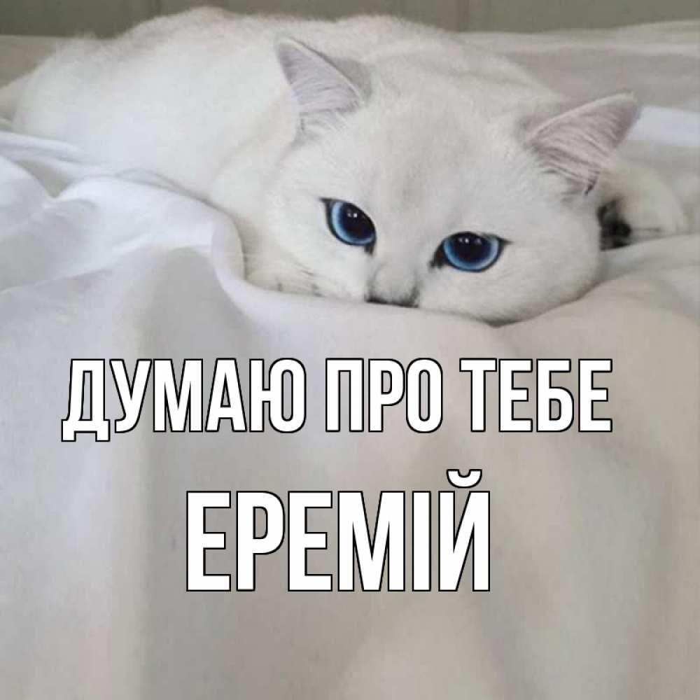 Открытка на каждый день з підписом, Еремій Думаю про тебе я очень по тебе скучаю и тоскую Прикольна листівка з побажанням онлайн скачати безкоштовно 