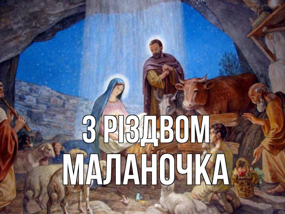 Открытка на каждый день з підписом, Маланочка З Різдвом Хлев с животными, Иисус, рождество Прикольна листівка з побажанням онлайн скачати безкоштовно 